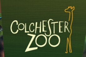  Colchester Zoo discount code