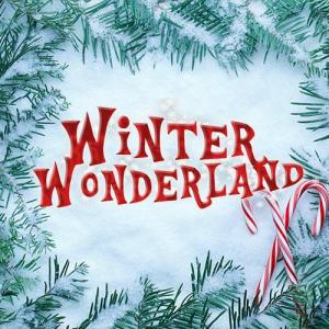  Winter Wonderland Manchester discount code